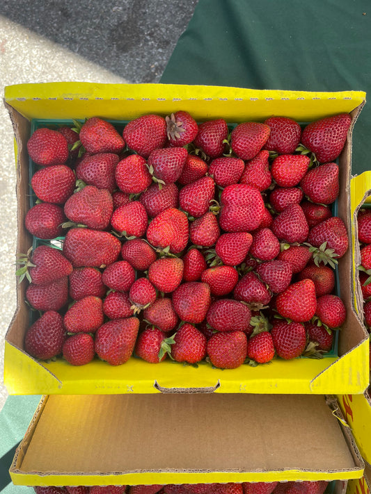 Strawberries(Large box)