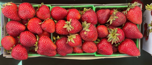 Strawberries(3 Box Pack)