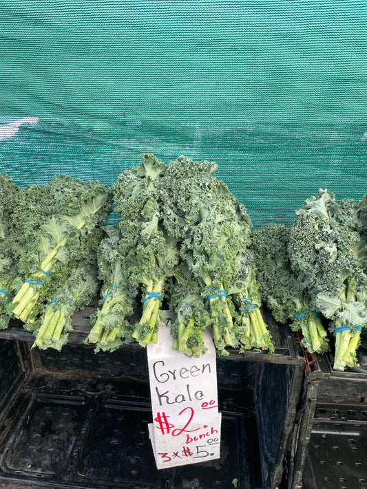 Green Kale(Per Bunch)